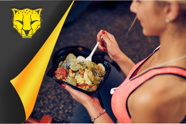 Plan nutricional — SG Sport Performance